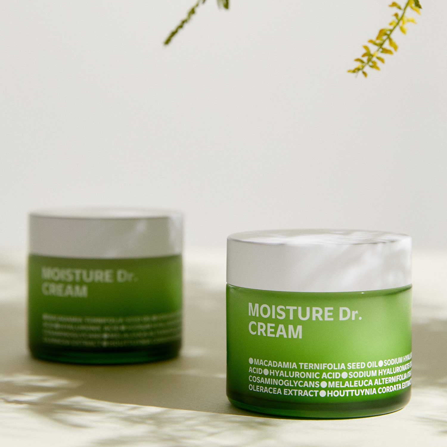Moisture Dr. Cream 70ml
