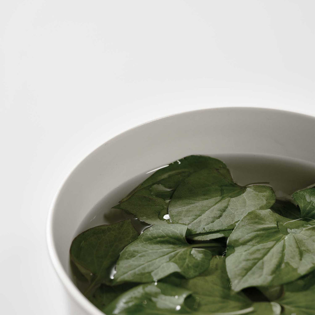 Heartleaf 77% Soothing Toner