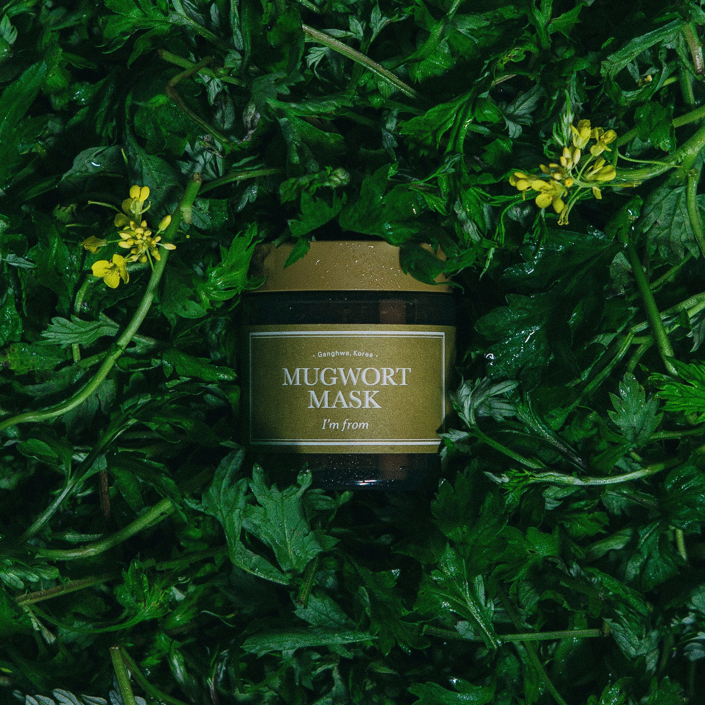 Mugwort Mask