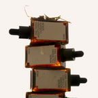 Houttuynia Serum