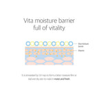 Birch Moisturising Sunscreen | 50ml