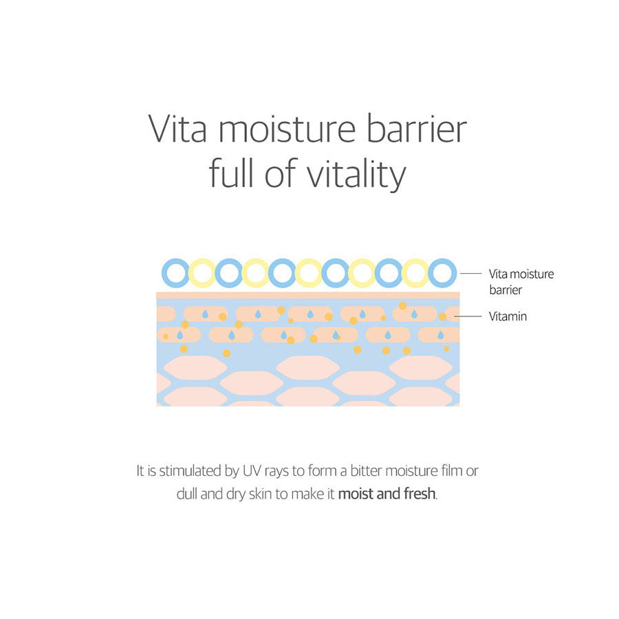 Birch Moisturising Sunscreen | 50ml