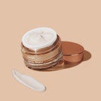 Bifida Biome Concentrate Cream 50ml